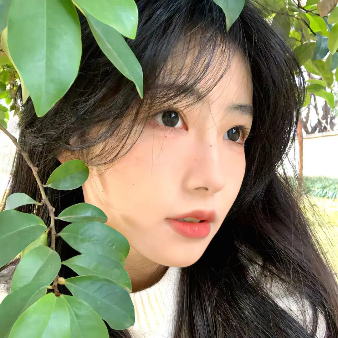 史戴茜与梅莉莎